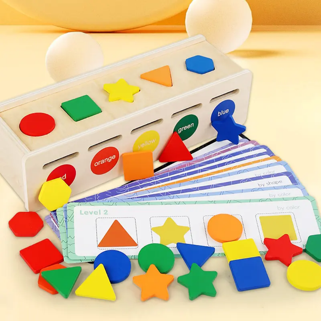 Montessori wooden children's classification shape color cognition matching box learning box teaching aids exercise fine action toys photo 4